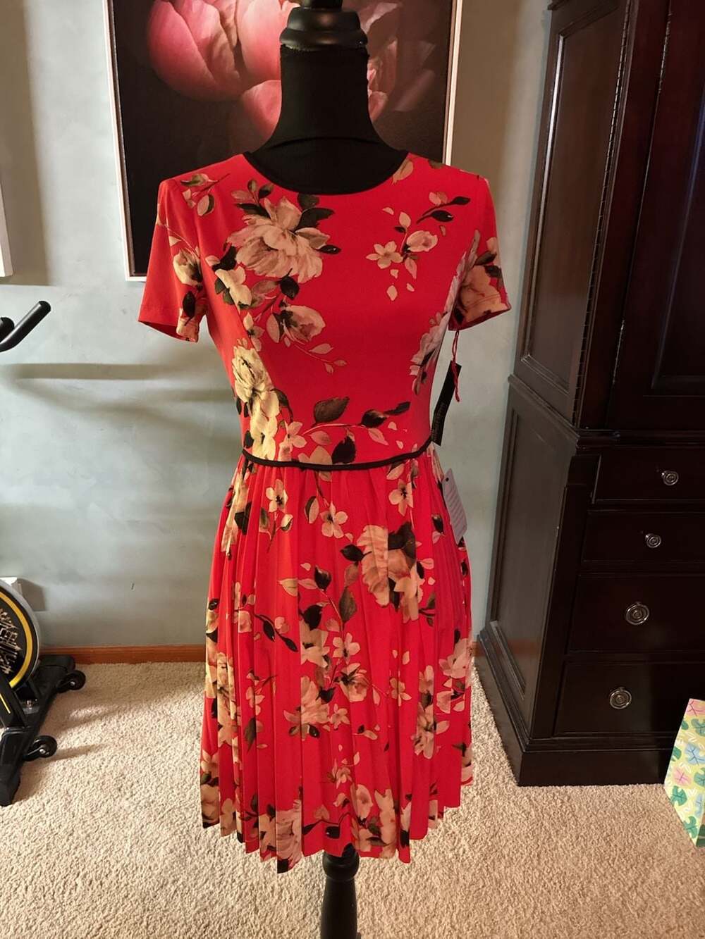 Maggy London Petite Floral Print Dress NWT Sz 2P A497